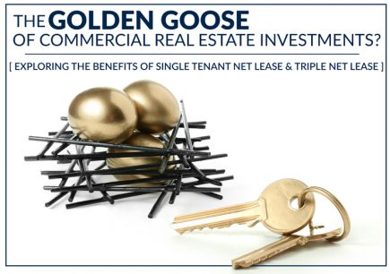 'Net Lease' Properties - The Golden Goose of Commercial Real Estate?